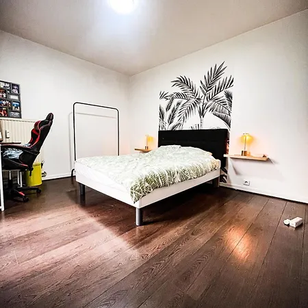 Beautiful 2-bedroom With Balcony And Free Parking Apartment Essey-les-Nancy